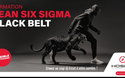 Formation Black Belt Lean Six Sigma