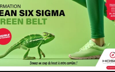 Formation Green Belt Lean Six Sigma